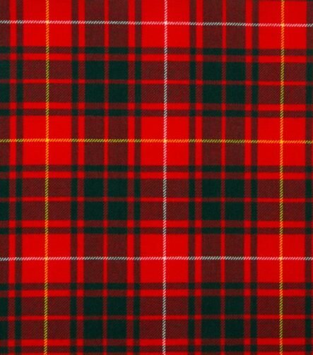 Bruce Modern Tartan Fabric