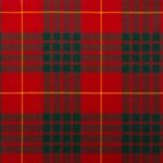 Cameron Clan Modern Tartan Fabric