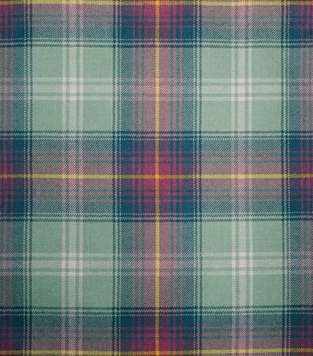 Hame Tartan Fabric