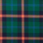 Young Modern Tartan Fabric