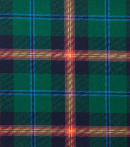 Young Modern Tartan Fabric