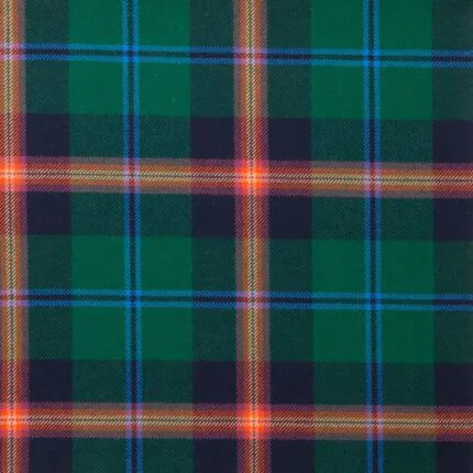 Young Modern Tartan Fabric